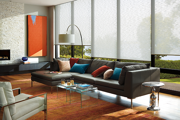 Stylish Blinds